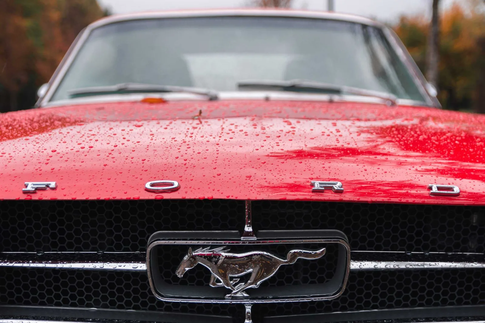 5 Essential Factors To Look At While Buying Mexican Auto Insurance