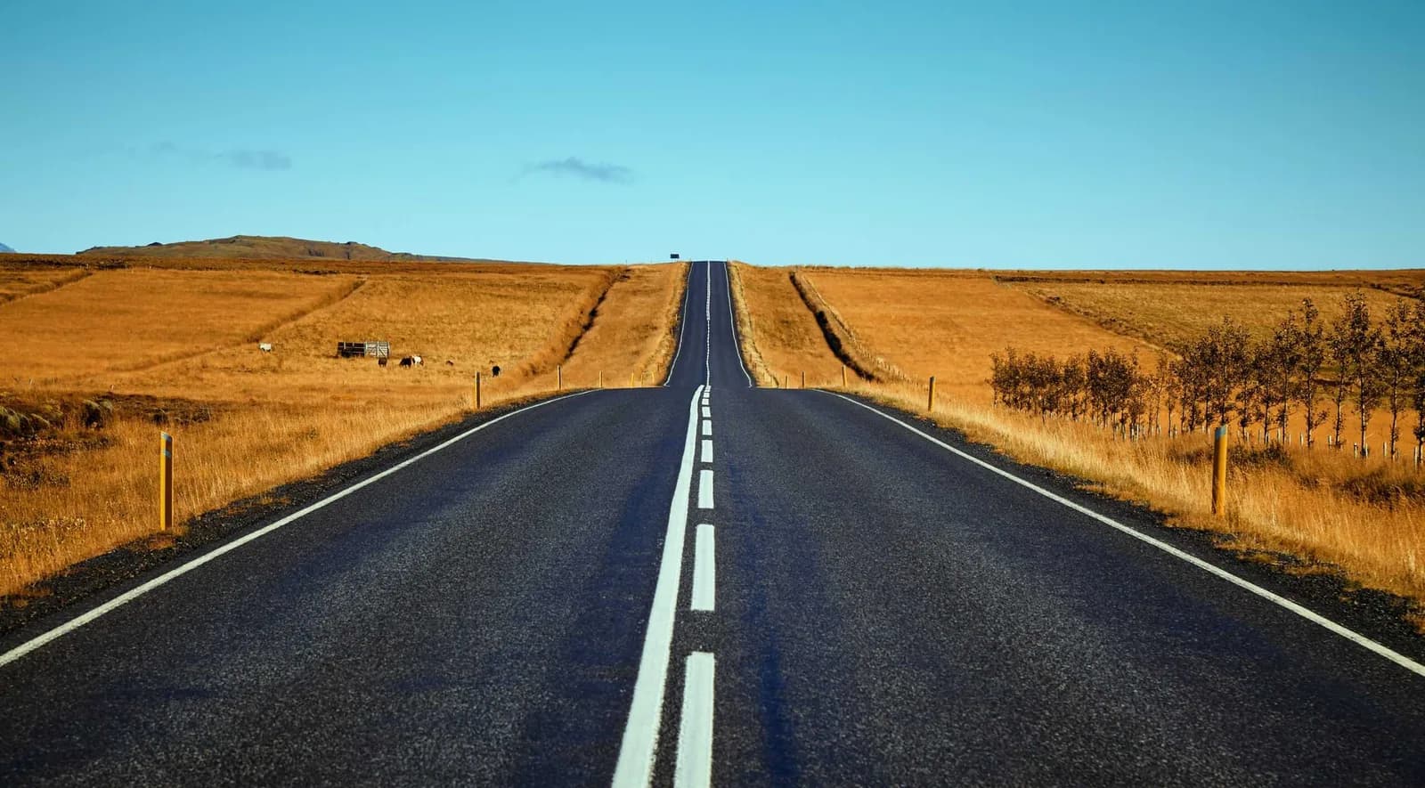 Go For Full Coverage Mexican Auto Insurance
